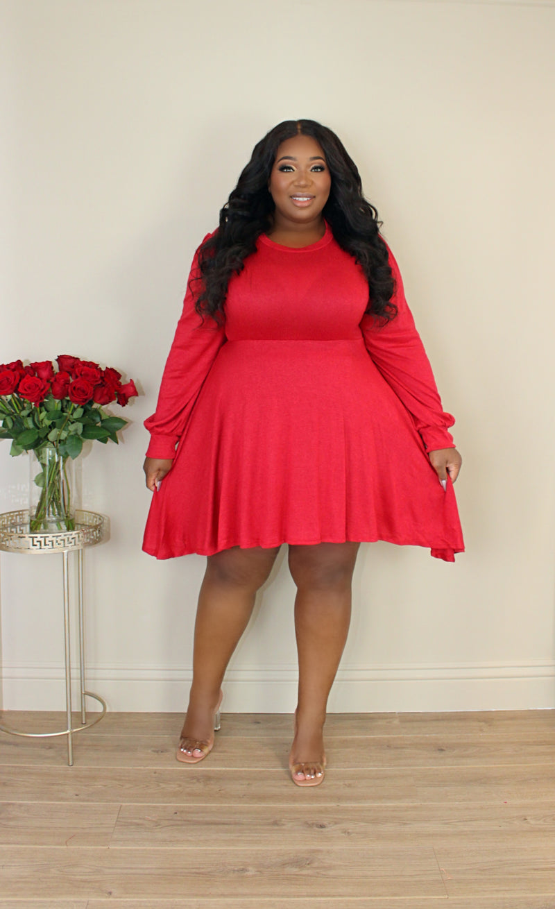 Fit & Flare Sweater Dress | Ruby